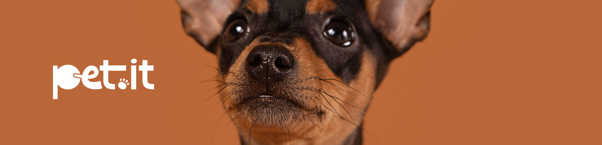 Pet.it