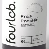 Pinus Pinaster 150mg  Antioxidante e Saúde Vascular - 60 cápsulas